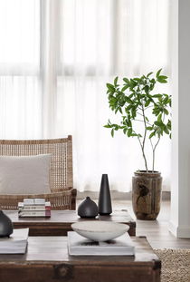 2万预算，100㎡空房变阳光度假风家具全攻略